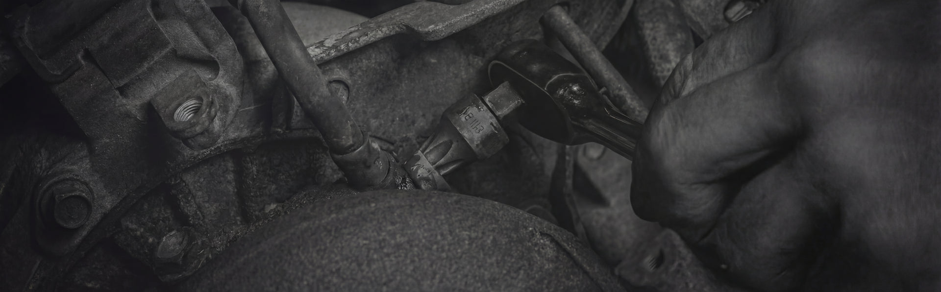 Extractor Tool Specials